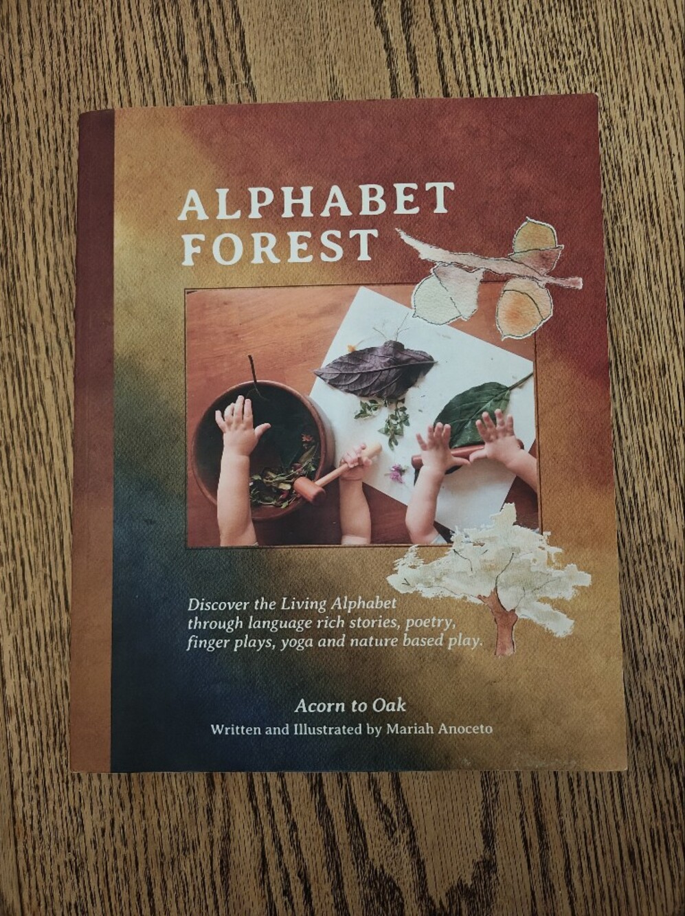 Alphabet Forest Homeschool Curriculum Kindergarten